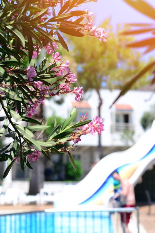Hotel Delfi Spa&wellness Center
